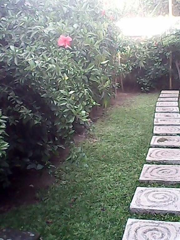 Bali Sari Homestay Αμέντ Εξωτερικό φωτογραφία