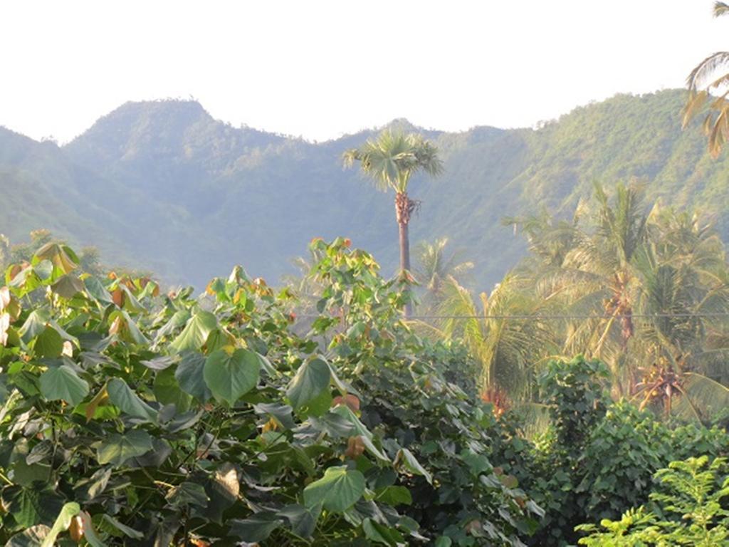Bali Sari Homestay Αμέντ Εξωτερικό φωτογραφία